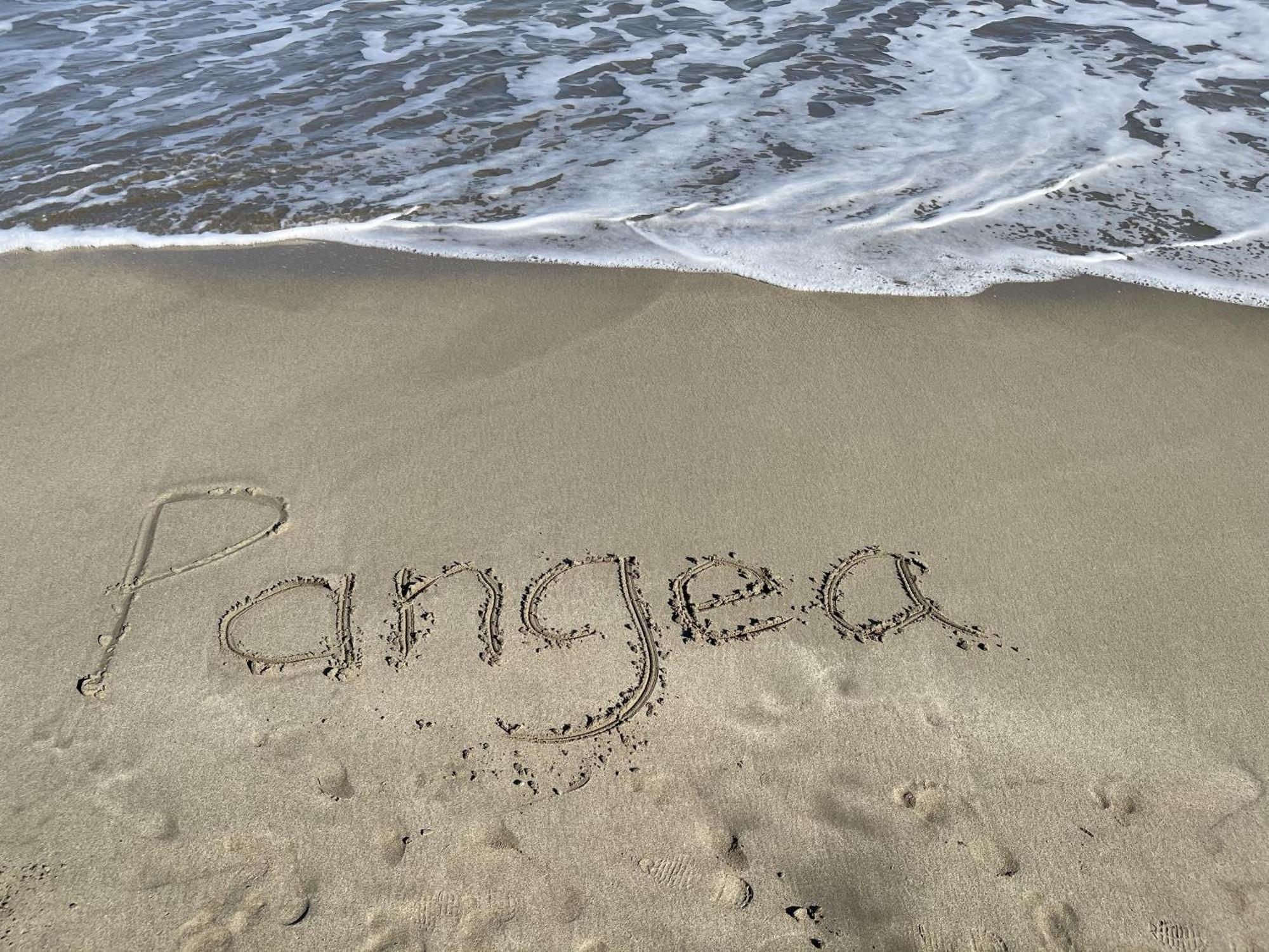 Casa Blanca Beachfront House With Shared Pool Access Pangea Lodge Puerto Manzanillo Exterior foto